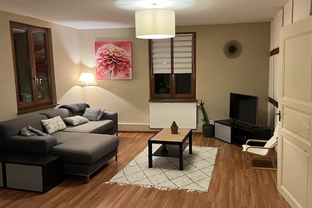 Grand Appartement A Барр Экстерьер фото